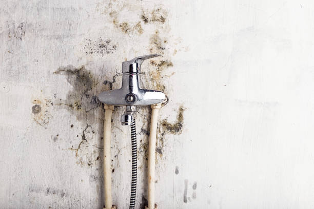 Best Office Mold Removal Services  in Sturgeon Bay, WI